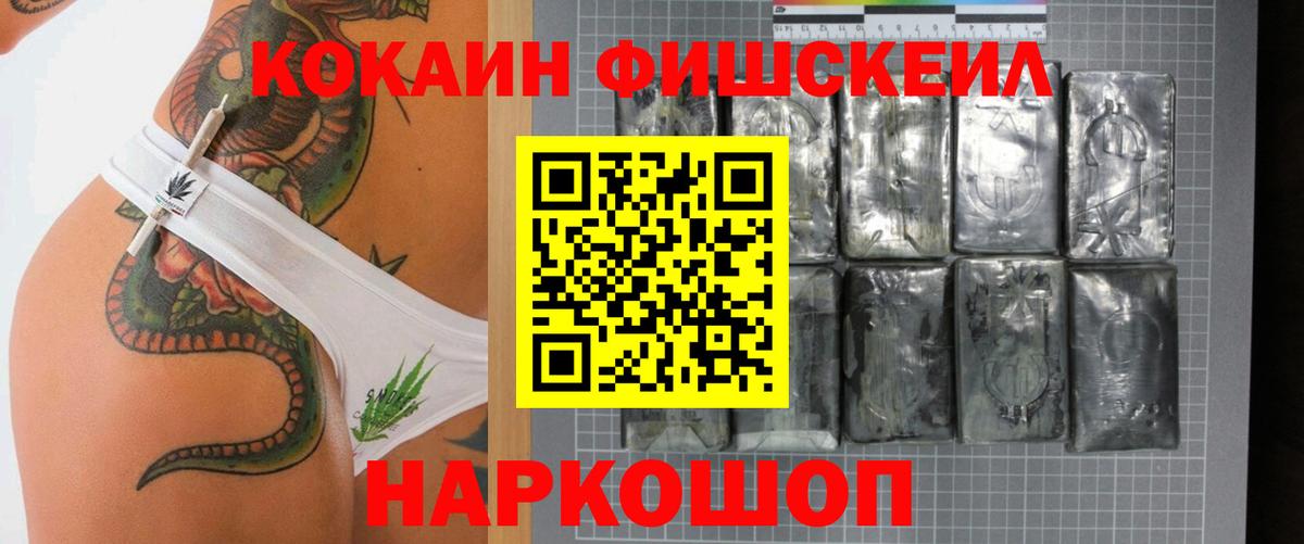 КОКАИН  Вход с VPN  Камышин  COCAIN Fish Scale 