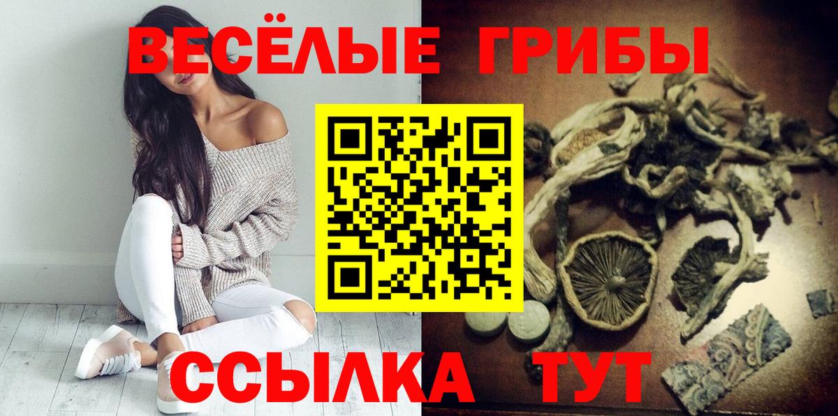 ГАШ Камышин